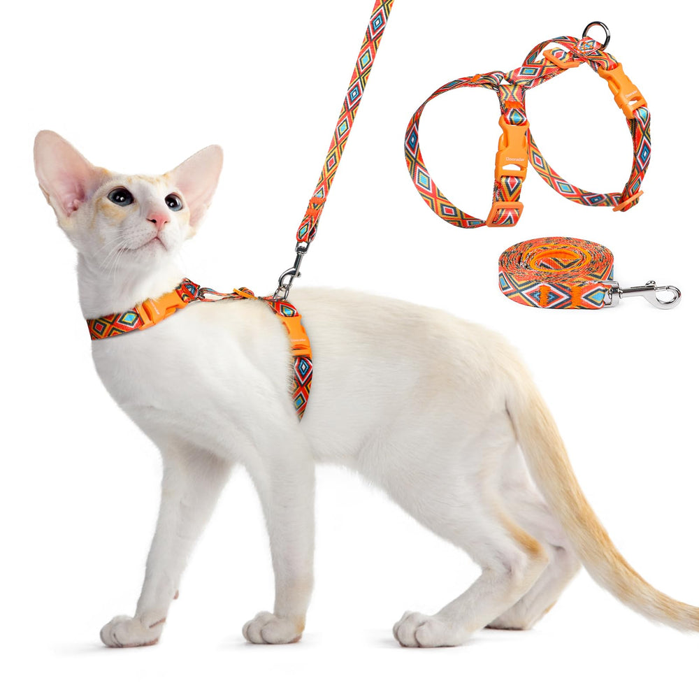 Dooradar cat harness escape-proof design shown for secure outdoor walks.