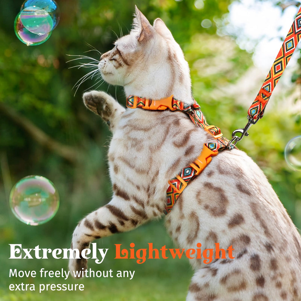 Dooradar cat harness on the go during travel illustrates versatile use.