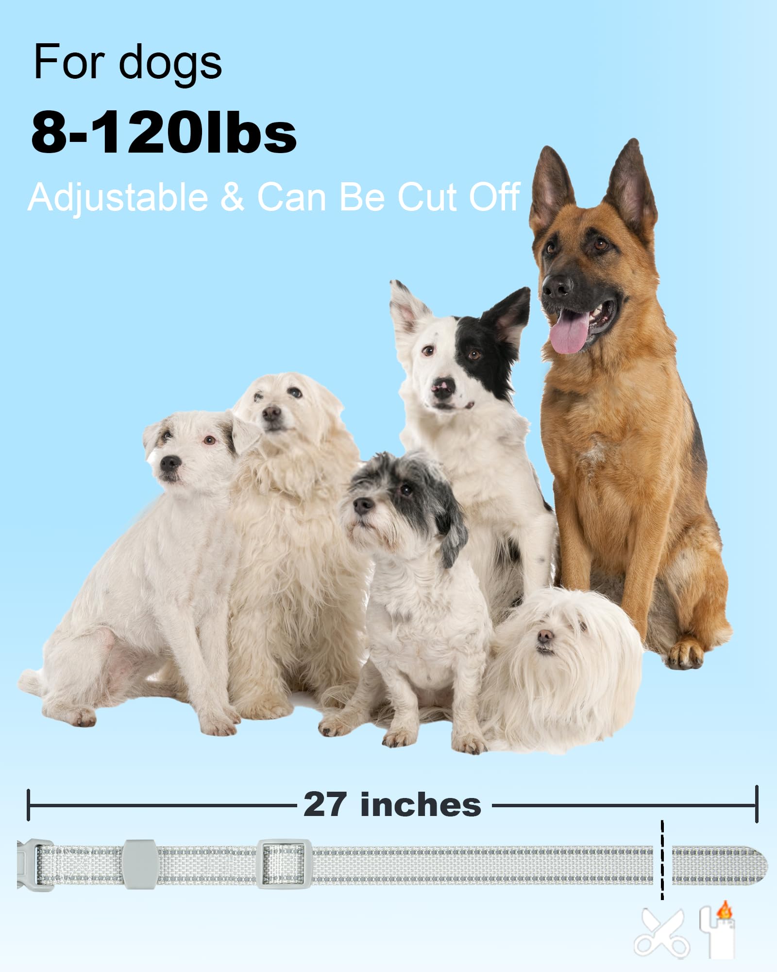 Doparet adjustable nylon collar strap extended to 28 inches for larger dogs.