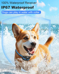Doparet collar beep mode for gentle alerts during training