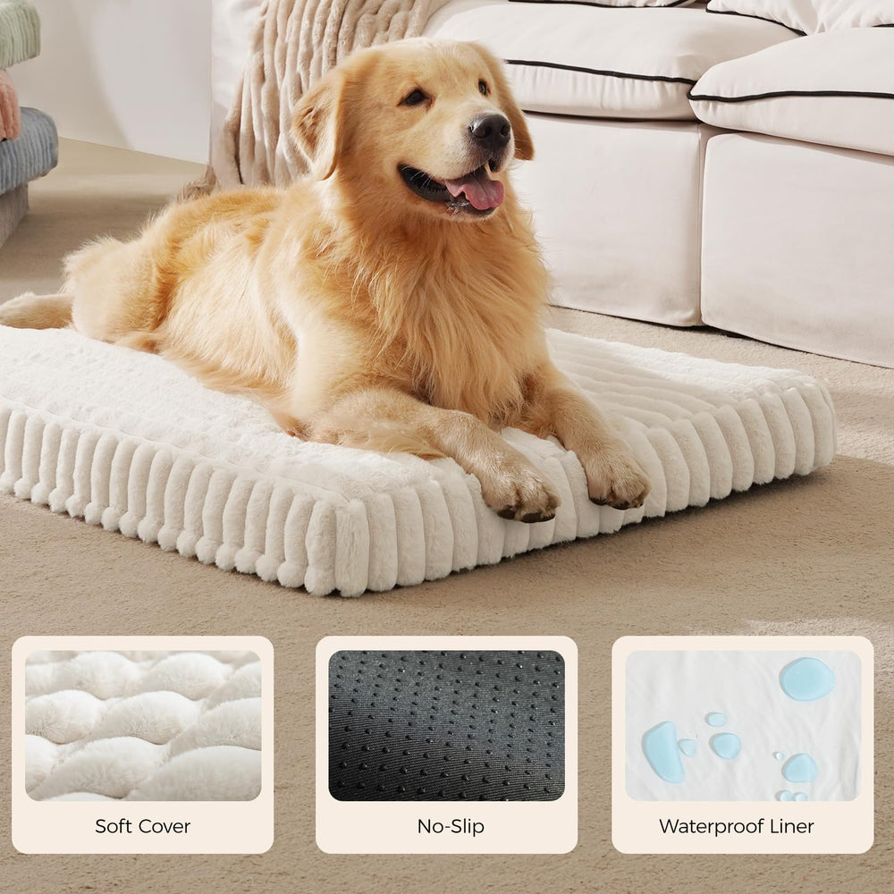Dopedio cream orthopedic bed on floor, ready for cozy lounging