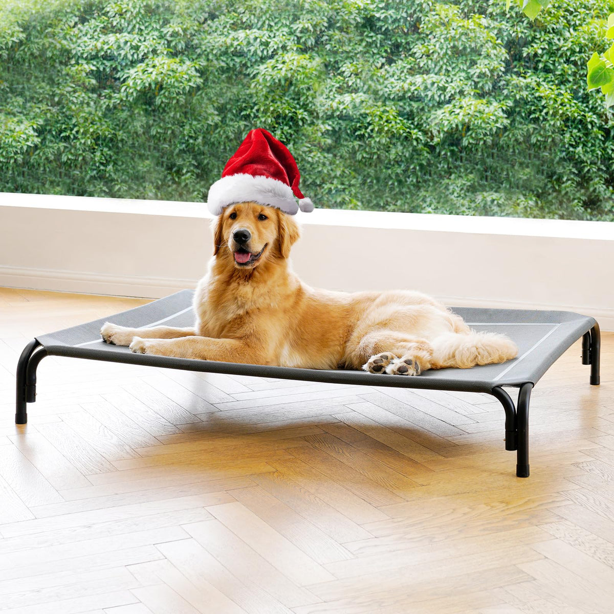 DOPEDIO elevated dog bed outdoor cot assembly shows tool-free setup for quick placement