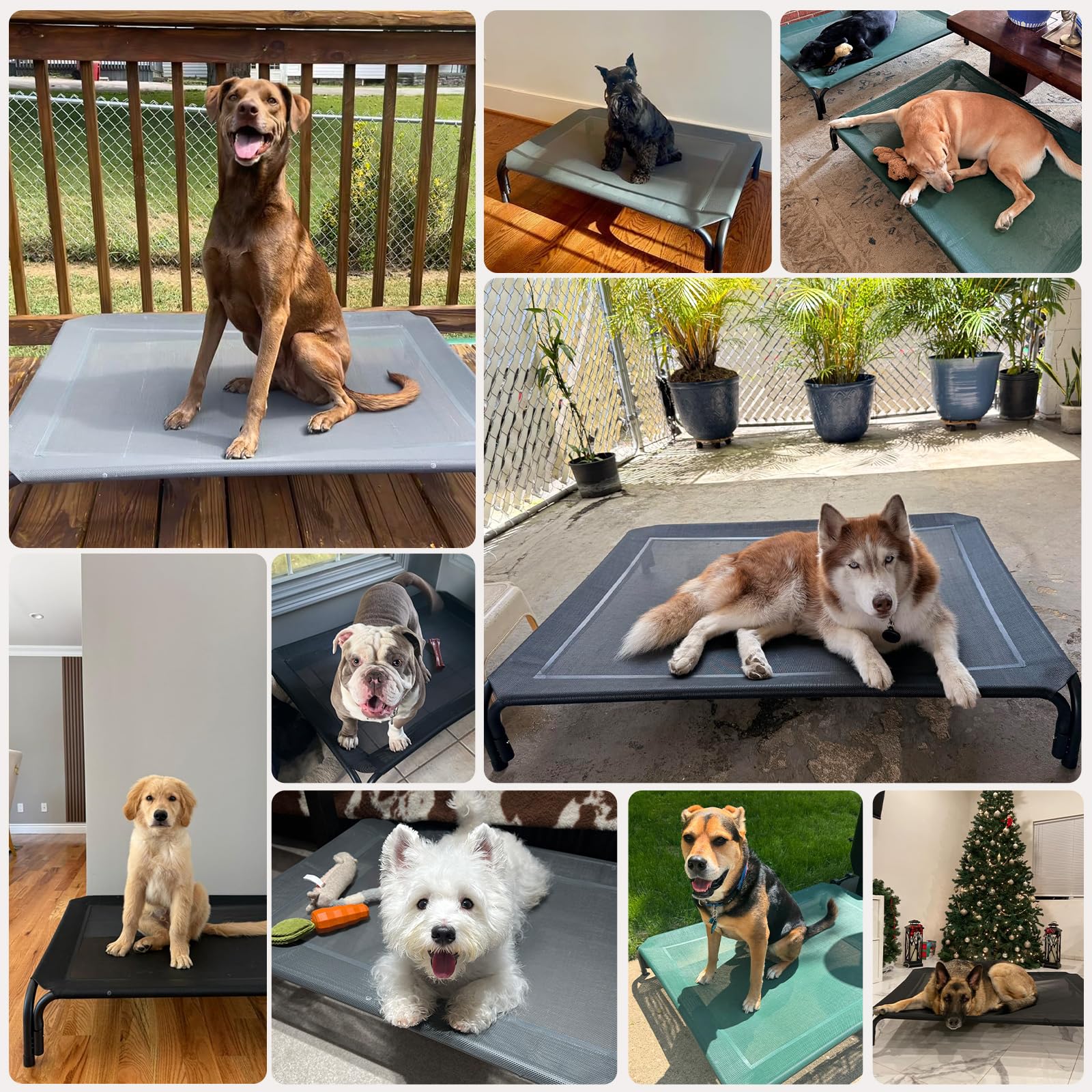 DOPEDIO indoor outdoor use shot demonstrates versatile placement options