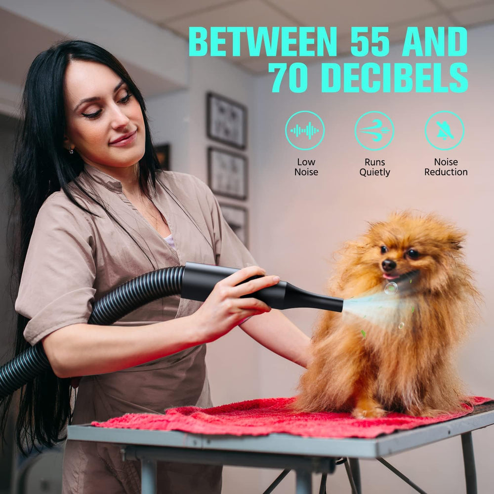DOPICT Pet Dryer temperature control protects during heat settings for safe use.