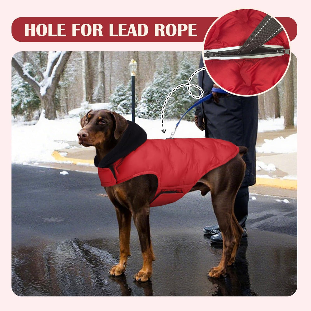 DORA BRIDAL dog coat with hook loop closure for quick dressing.