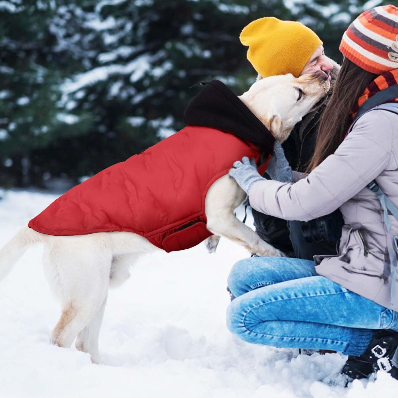 DORA BRIDAL full-coverage dog coat offers secure fit for large breeds.