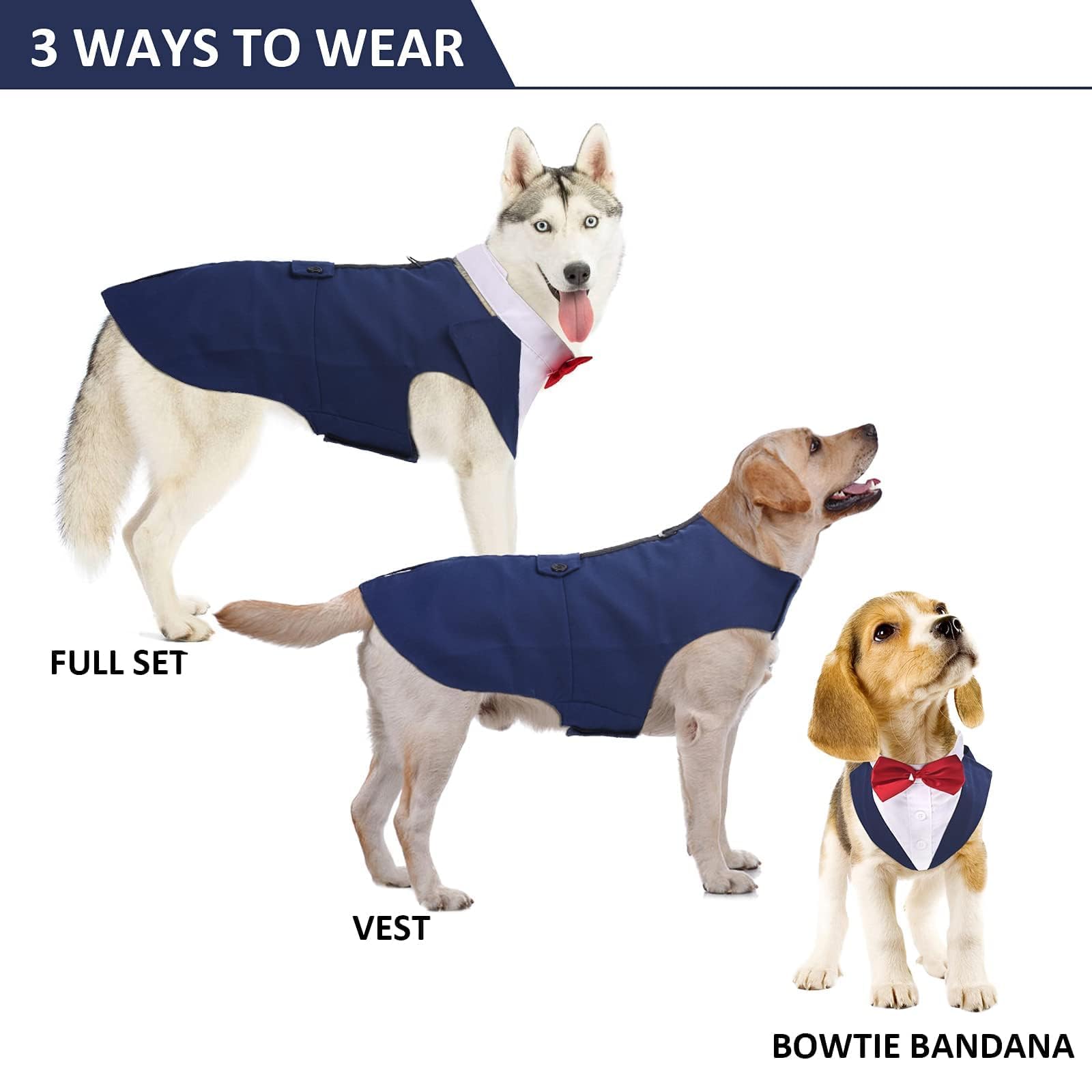 DORA BRIDAL dog tuxedo back view shows leash ring for easy outdoor walks.