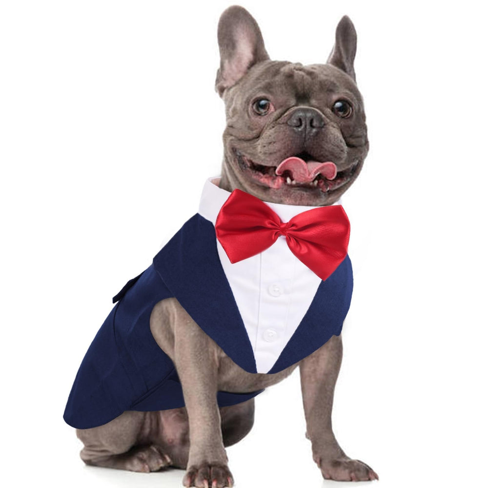 DORA BRIDAL dog tuxedo front view highlights adjustable fit for comfortable wear.