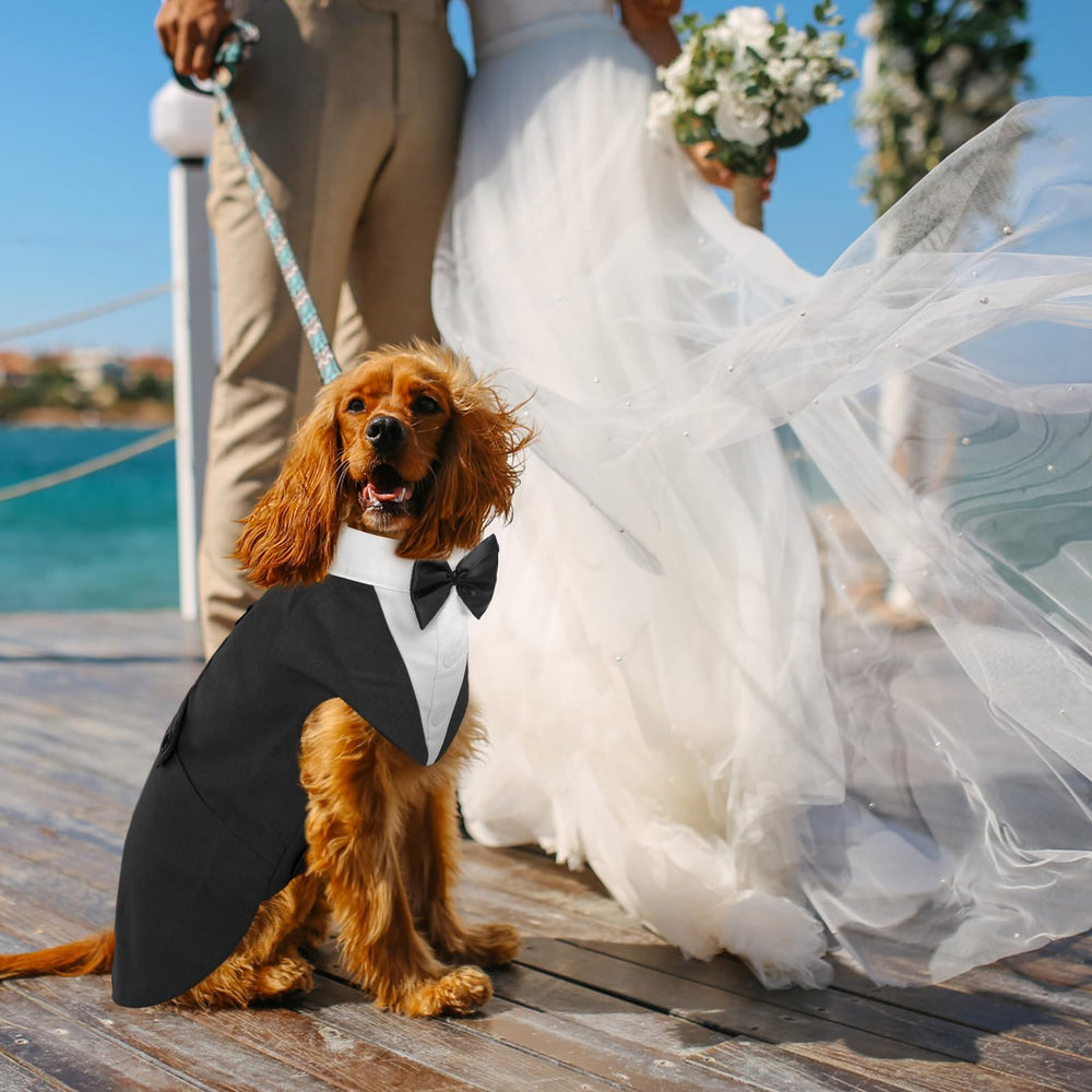 DORA BRIDAL tuxedo styled for wedding or party photo shoots