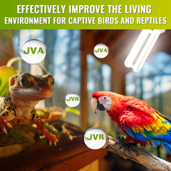 DoRight UVB 5.0 compact-lamp demonstrates efficient lighting for tiny cages and enclosures.