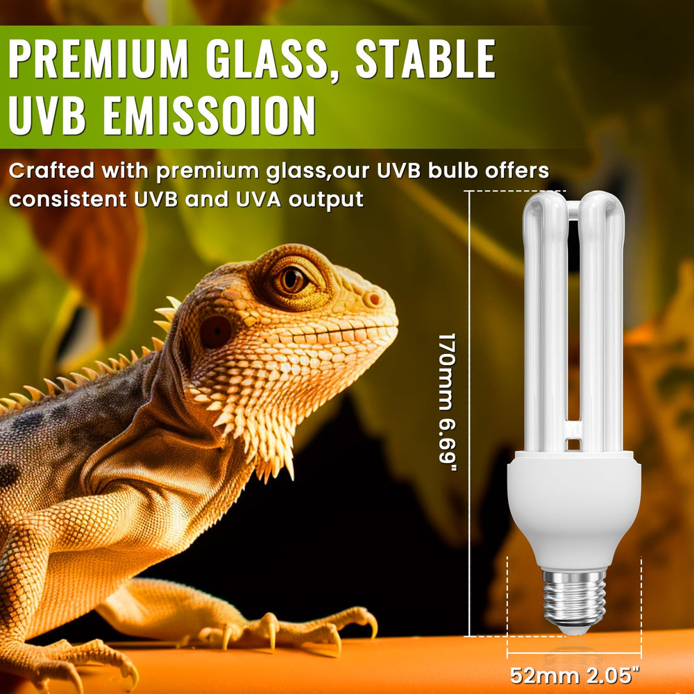 DoRight UVB 5.0 bird-light-installation shows easy mounting and safe distance setup.