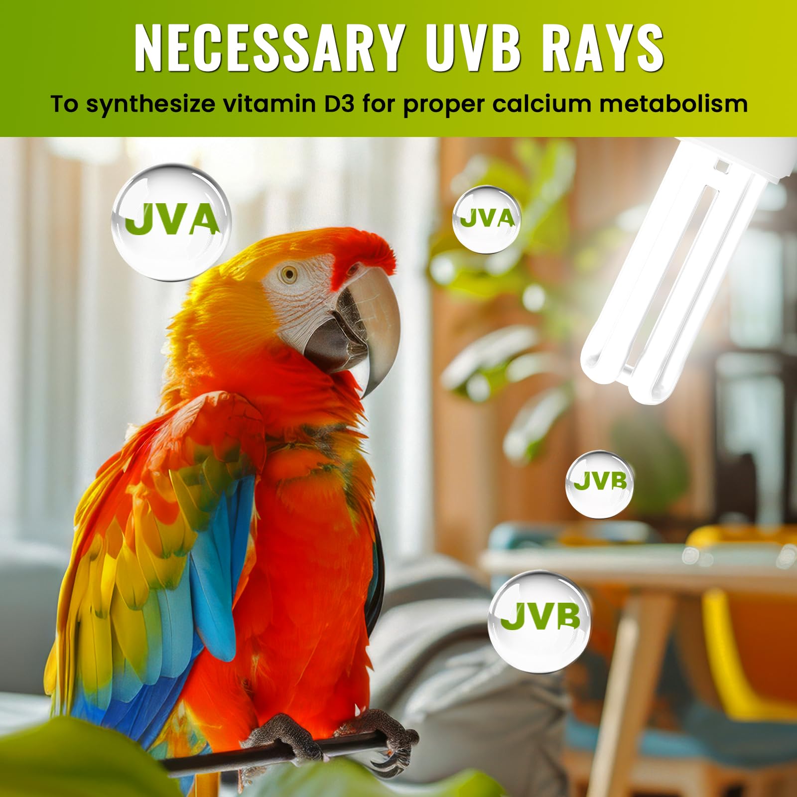 DoRight UVB 5.0 safety-ventilation check for habitat temperature.
