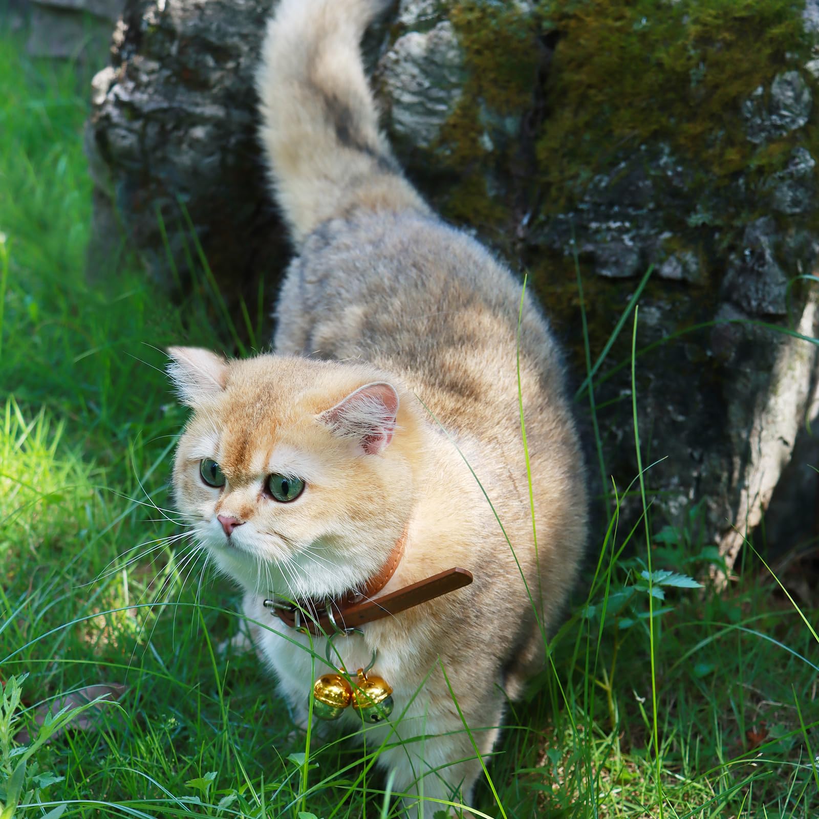 DORUI 4 Cat Bells weather-resistant, lightweight design for all pets