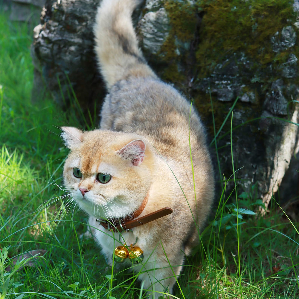 DORUI 4 Cat Bells weather-resistant, lightweight design for all pets