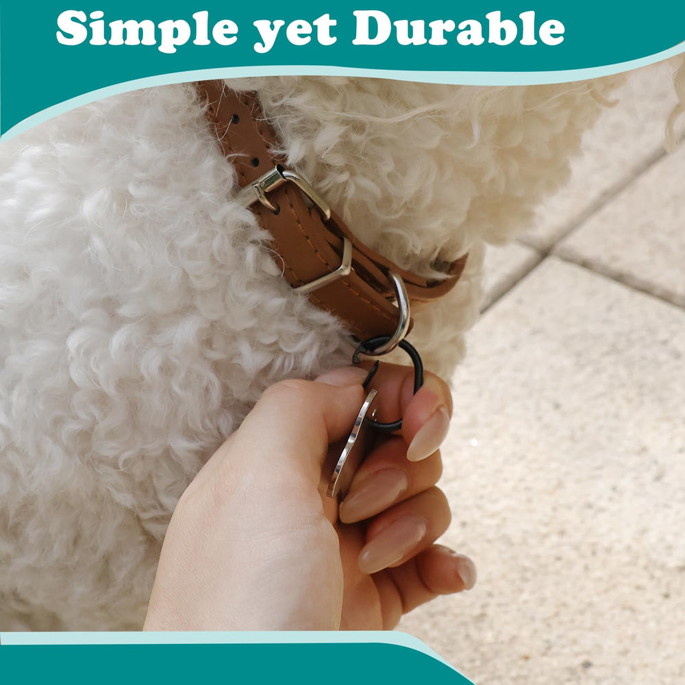 DORUI lightweight dog clasp offers durable, unobtrusive wear