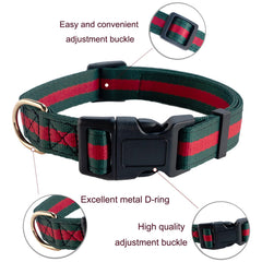 Doryojoy adjustable 5ft dog leash enables freedom while keeping manageable, secure runs.