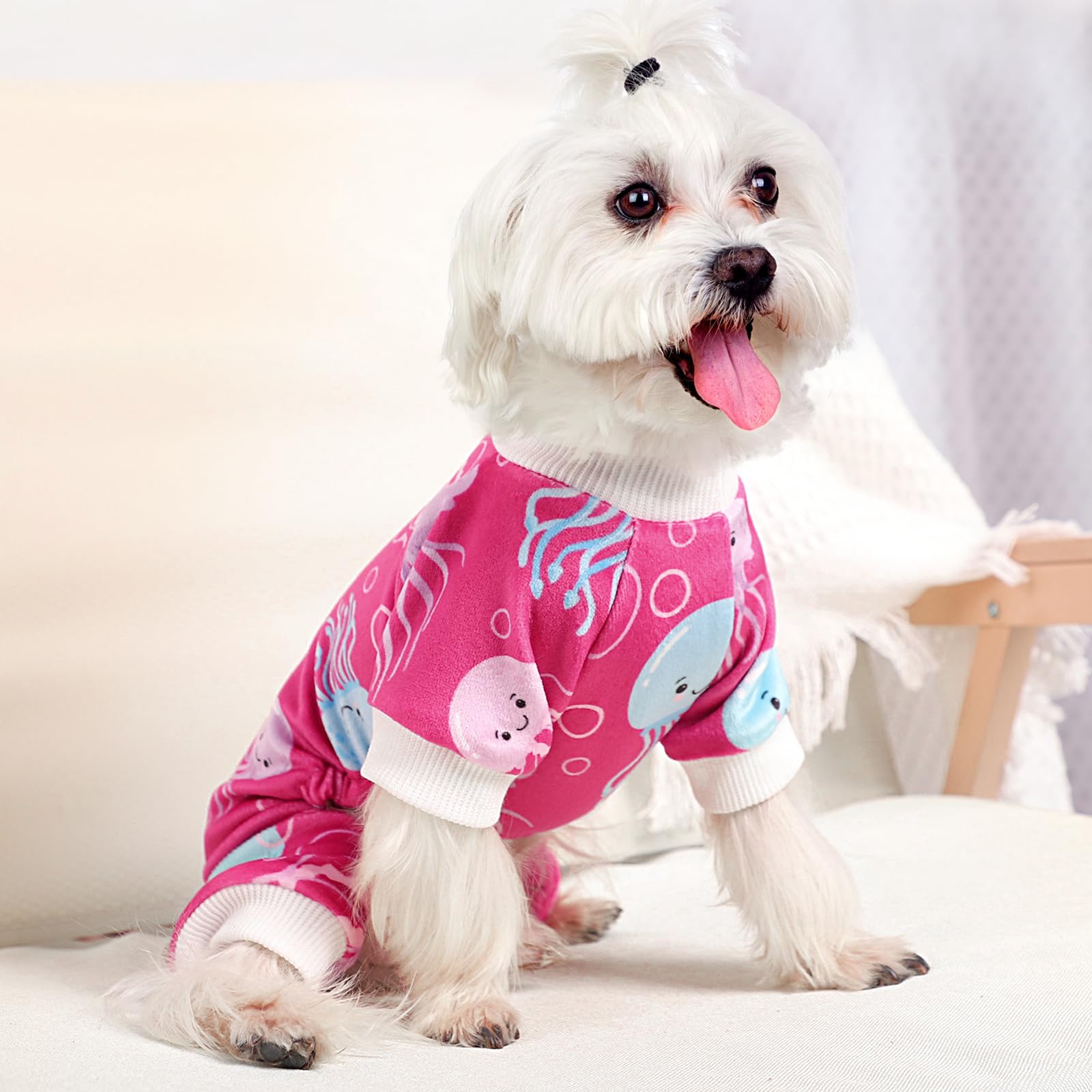 Dosuyi dog pajamas size chart helps fit XXS–M precisely.