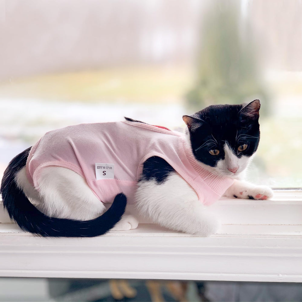 DOTON cat-recovery-suit back-closure closeup shows easy fasteners for quick changes.