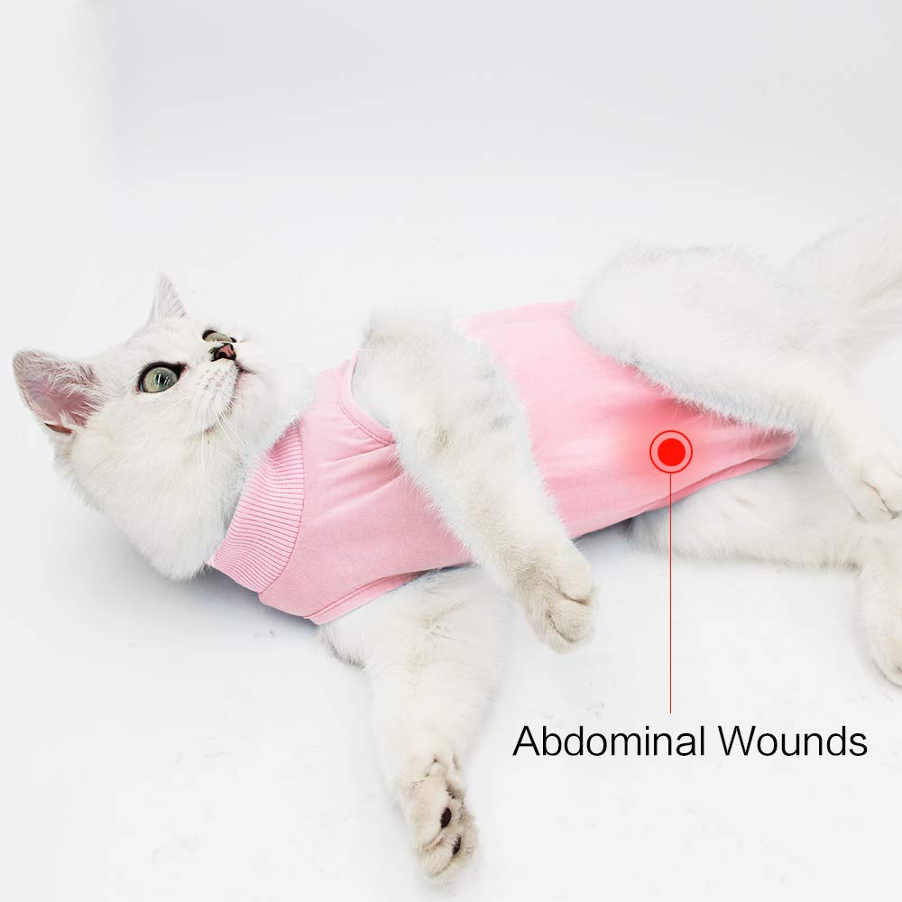 DOTON cat-recovery-suit litter-box-friendly design supports normal routines.