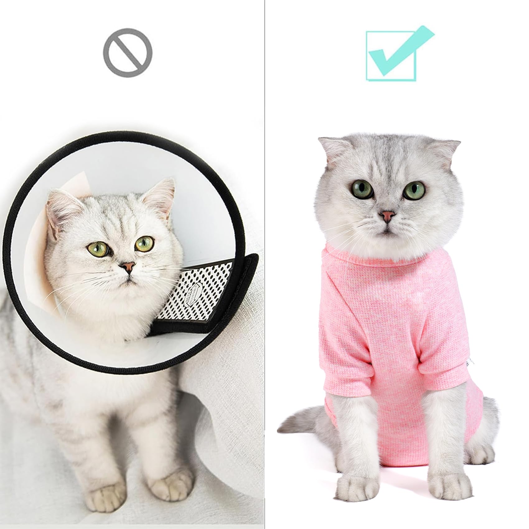 Dotoner recovery suit adjustable-collar close-up highlighting snug fit for kittens and adult cats