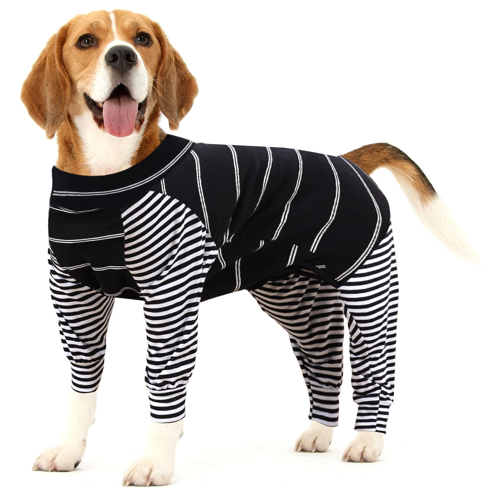Dotoner dog recovery suit front view provides snug protection for surgical wounds during movement