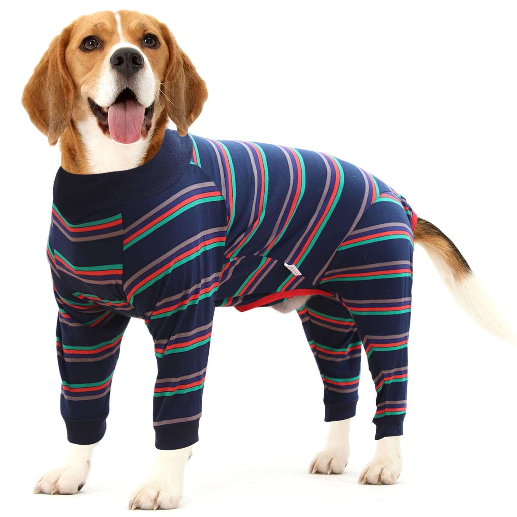 Dotoner dog recovery suit blue front view provides post-surgery protection and gentle coverage