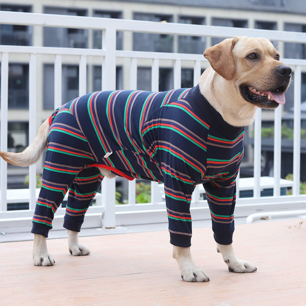 Dotoner blue shedding-pajamas view highlights casual wear for lounging after walks
