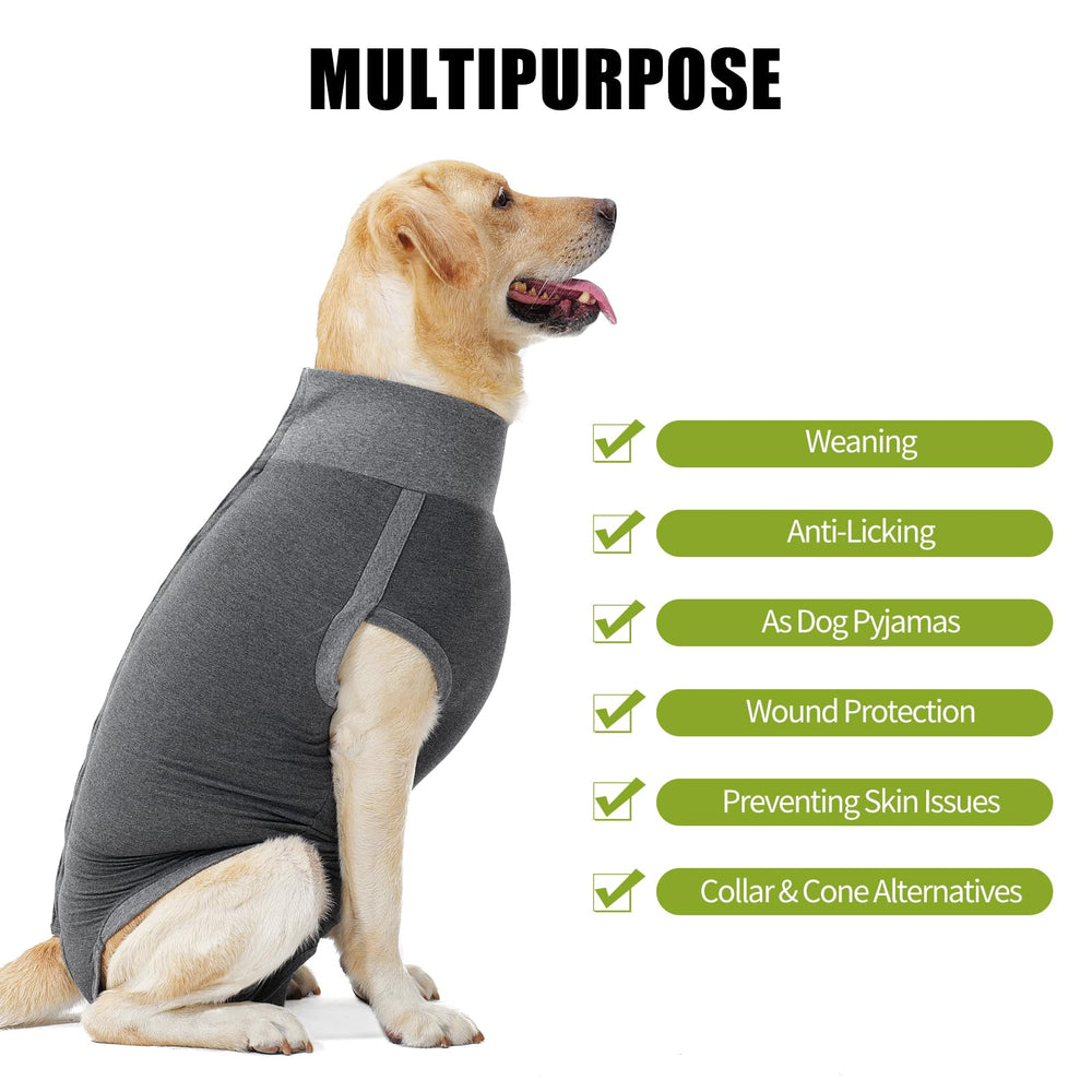 Dotoner dog surgery recovery suit back view shows secure fit for safe healing