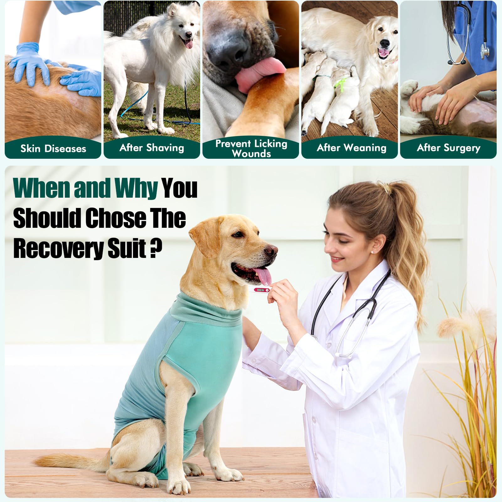 Dotoner dog surgery recovery suit female fit provides tailored comfort for female dogs post-surgery.