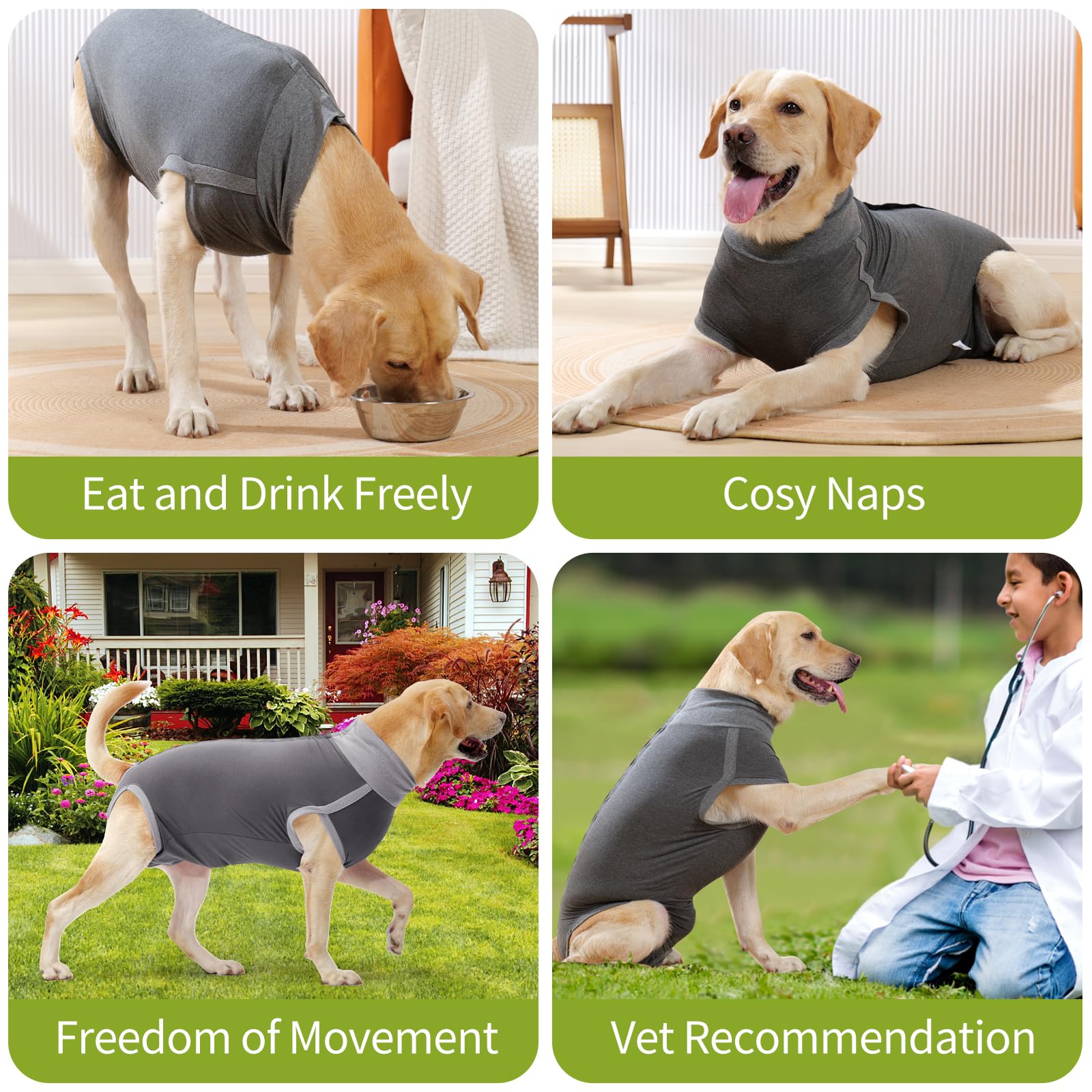 Dotoner dog surgery recovery suit size range emphasizes fit for various breeds