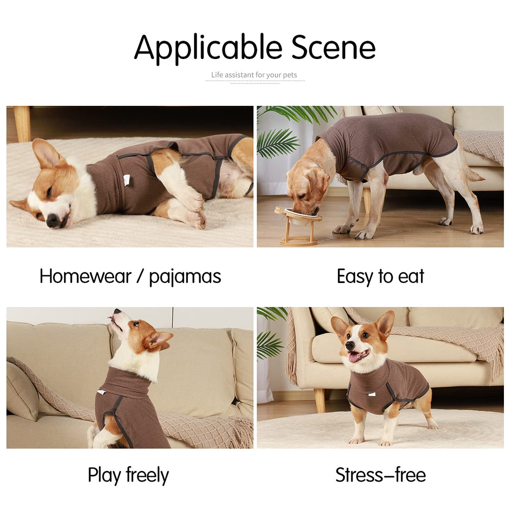 Dotoner indoor-outdoor dog-wear in brown showcases versatile use.