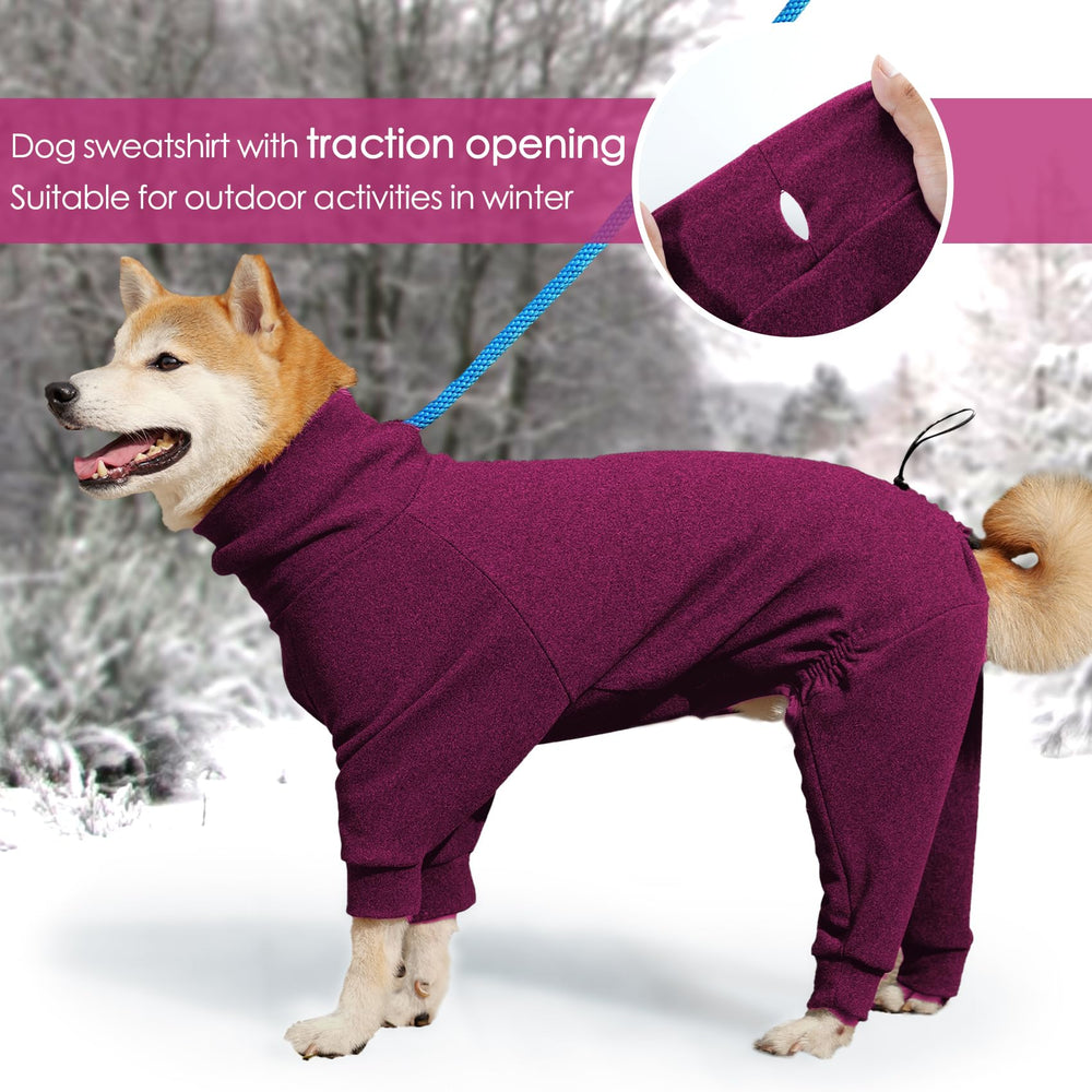 Dotoner pullover dog sweater high-collar on-dog showcase warmth and mobility
