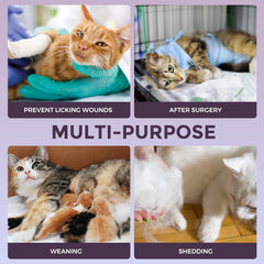 Dotoner recovery suit adjustable collar enables snug fit for cats of all sizes