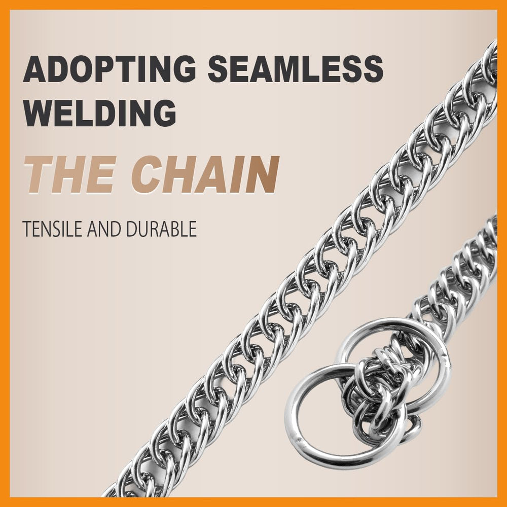 Double-Twist Link Training Choker Collar O-ring attachment point in use for added versatility.
