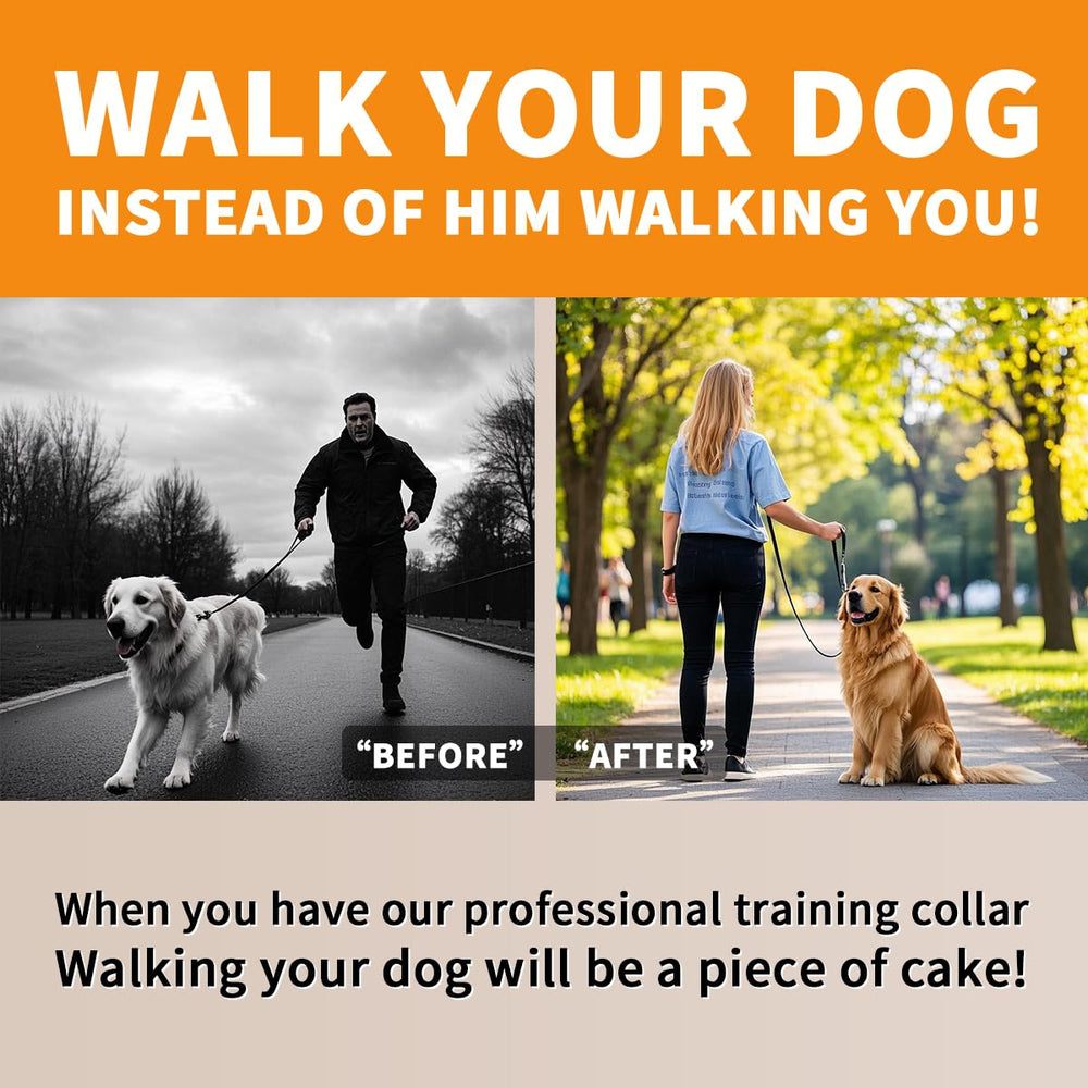 Double-Twist Link Training Choker Collar waterproof performance in wet conditions.
