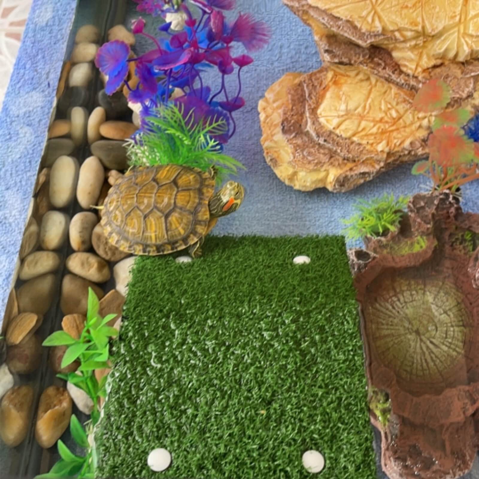 DoubleWood lawn turtle basking platform size measure highlights suitable dimensions for small reptiles.