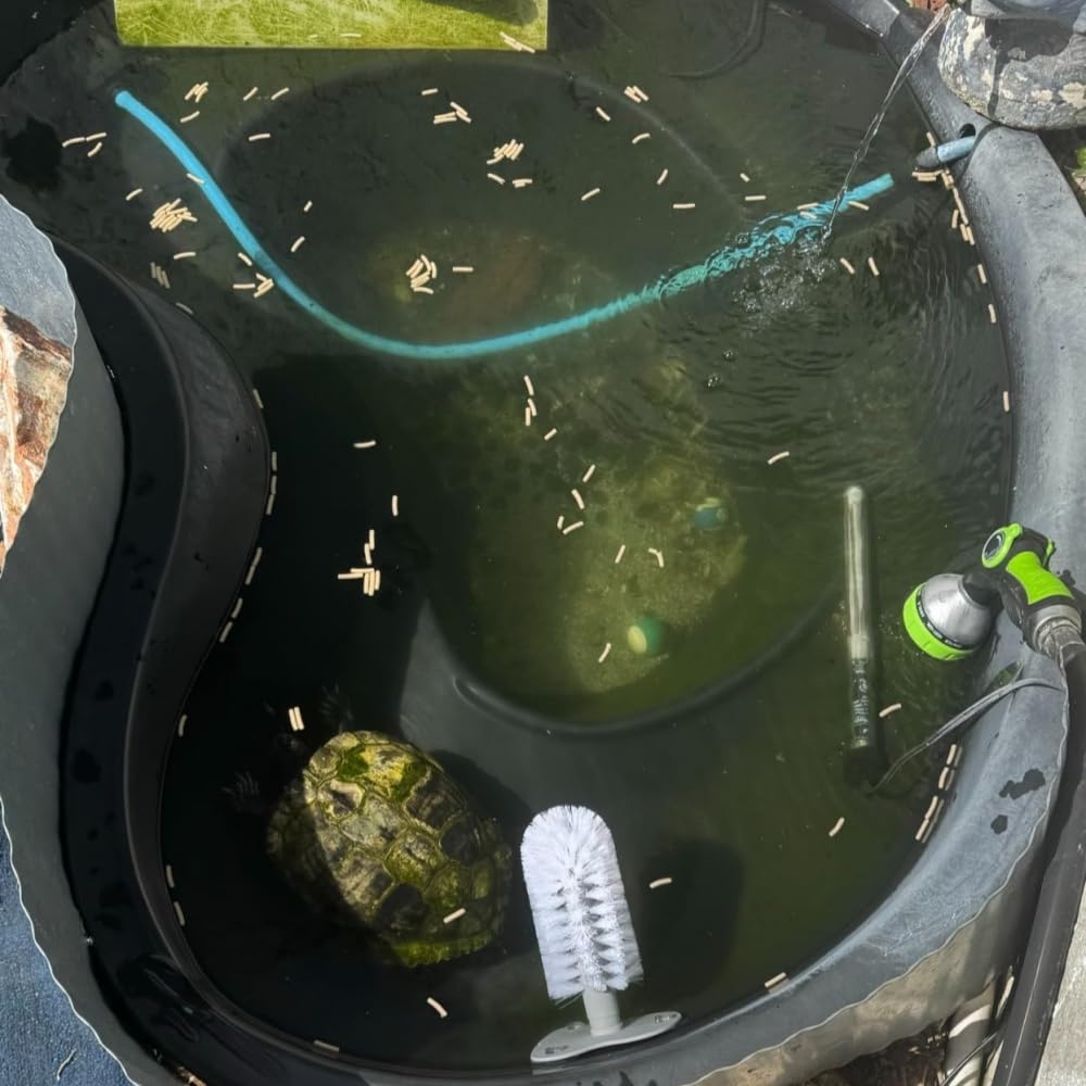 Secure suction cup attachment lets you position the brush anywhere in the tank