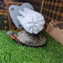Tank scene with DoubleWood brush encourages natural foraging and scratching behaviors