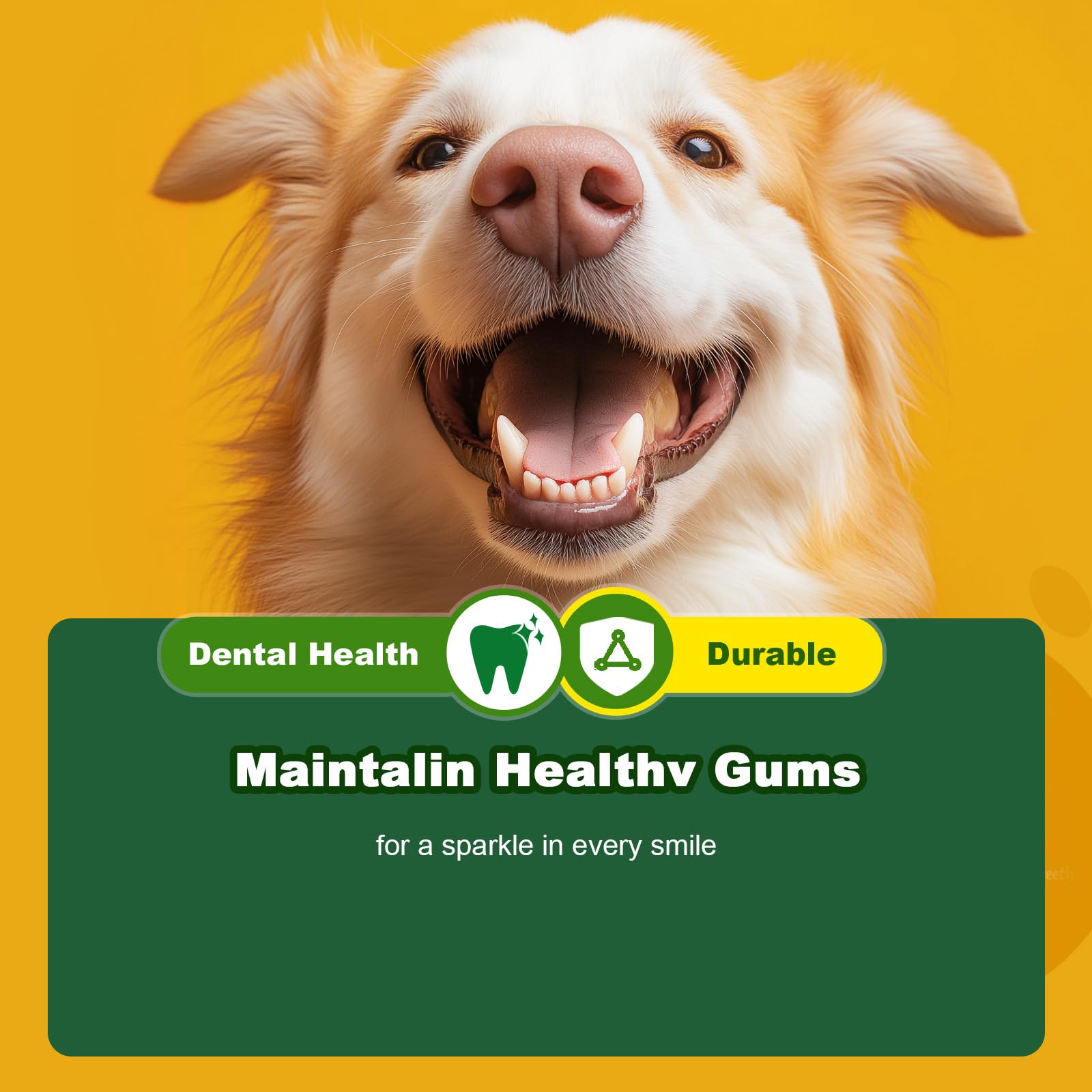 Doudele orange dumbbell — ideal for outdoor and indoor fetch and play.