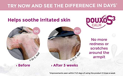 Douxo S3 Calm Itch Relief mousse on a cat demonstrates gentle skin support and comfort.