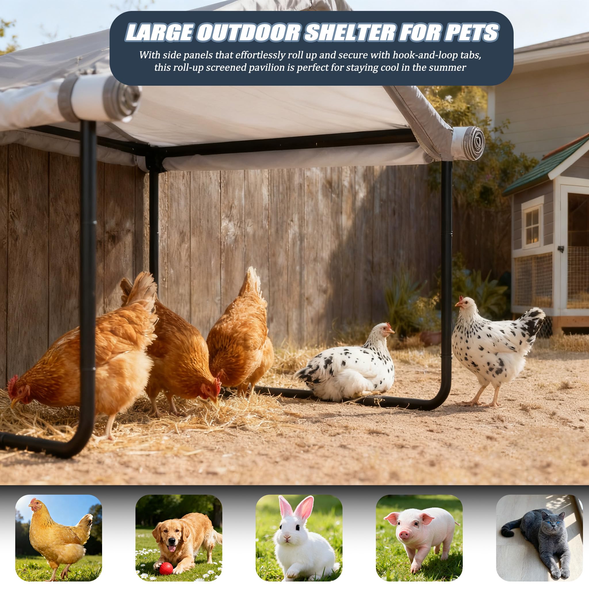 DOVACS removable door shelter shows flexible space for pets and storage.