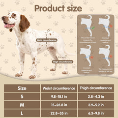 Dovanor Dog Hip Support Brace offers comfort and breathability.