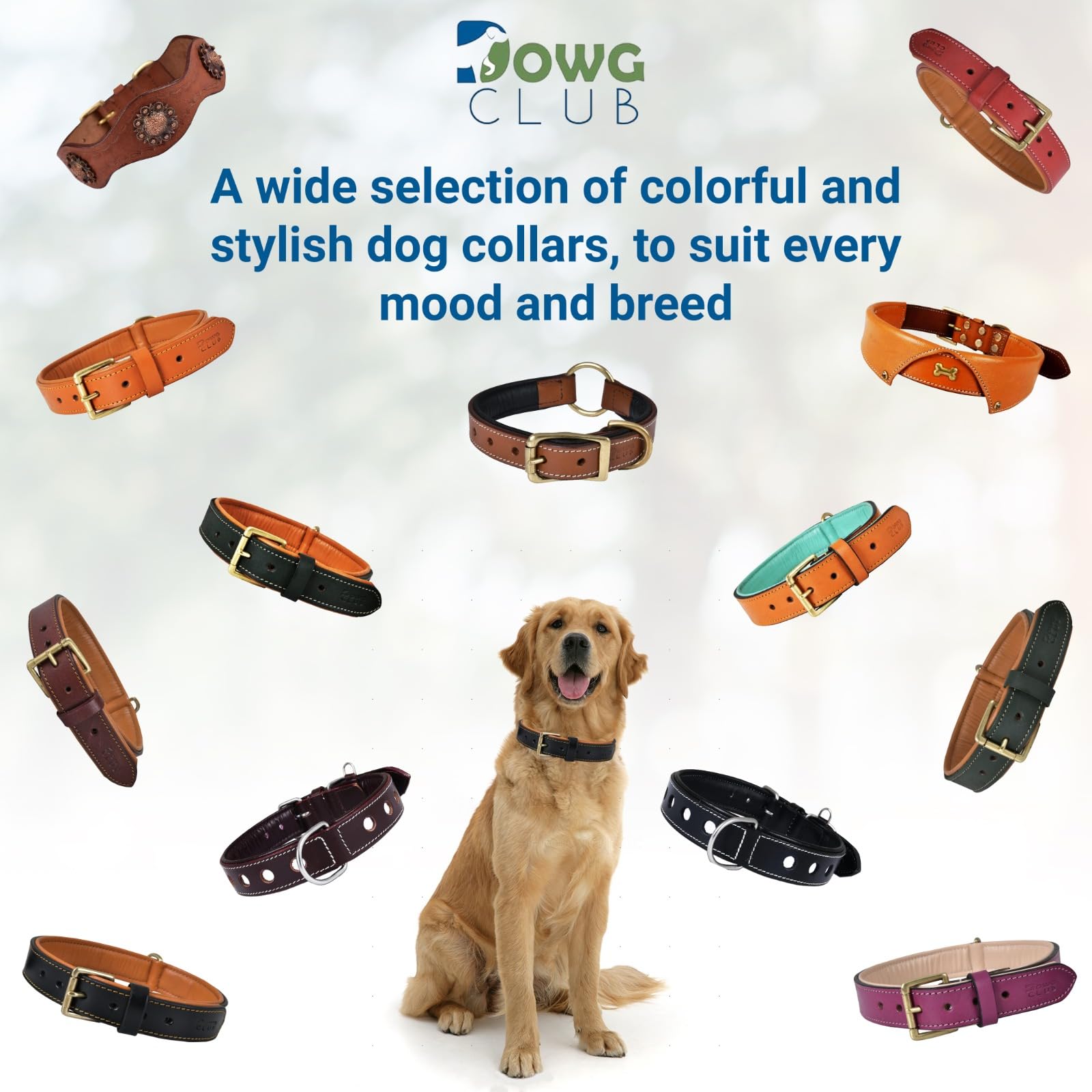 DowgClub nine color options offer personalized style with matching leashes