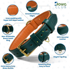 DowgClub Napa padding interior demonstrates neck comfort on long walks