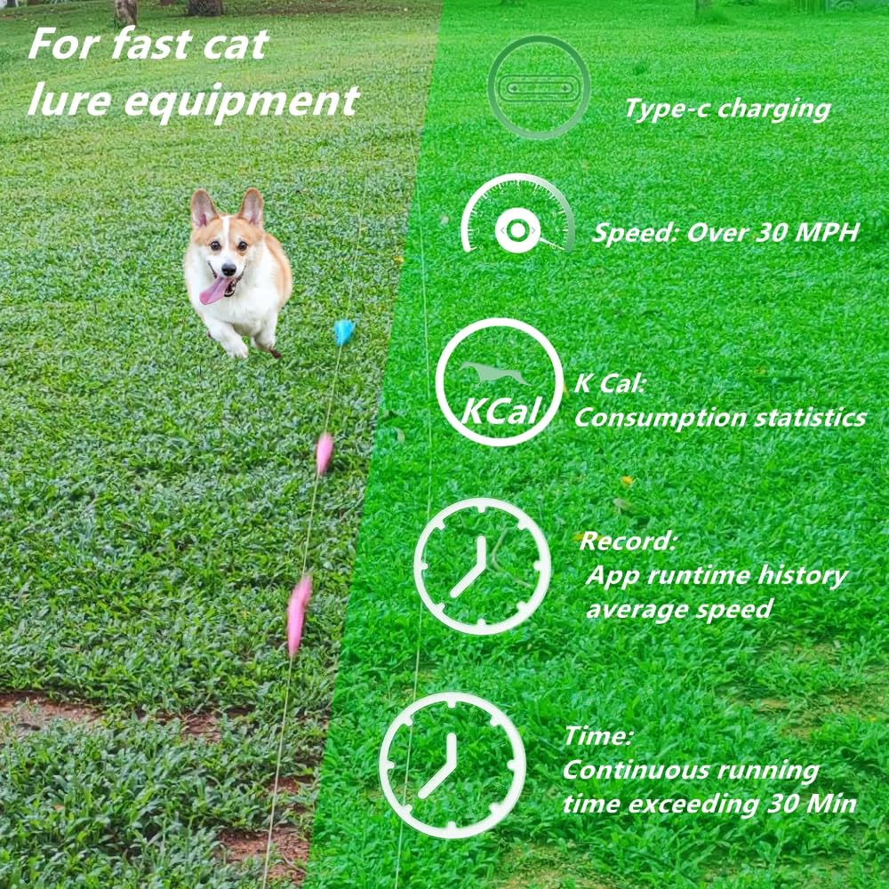 Dowkaco DC-1 agility course backyard set ideal for training and backyard fun