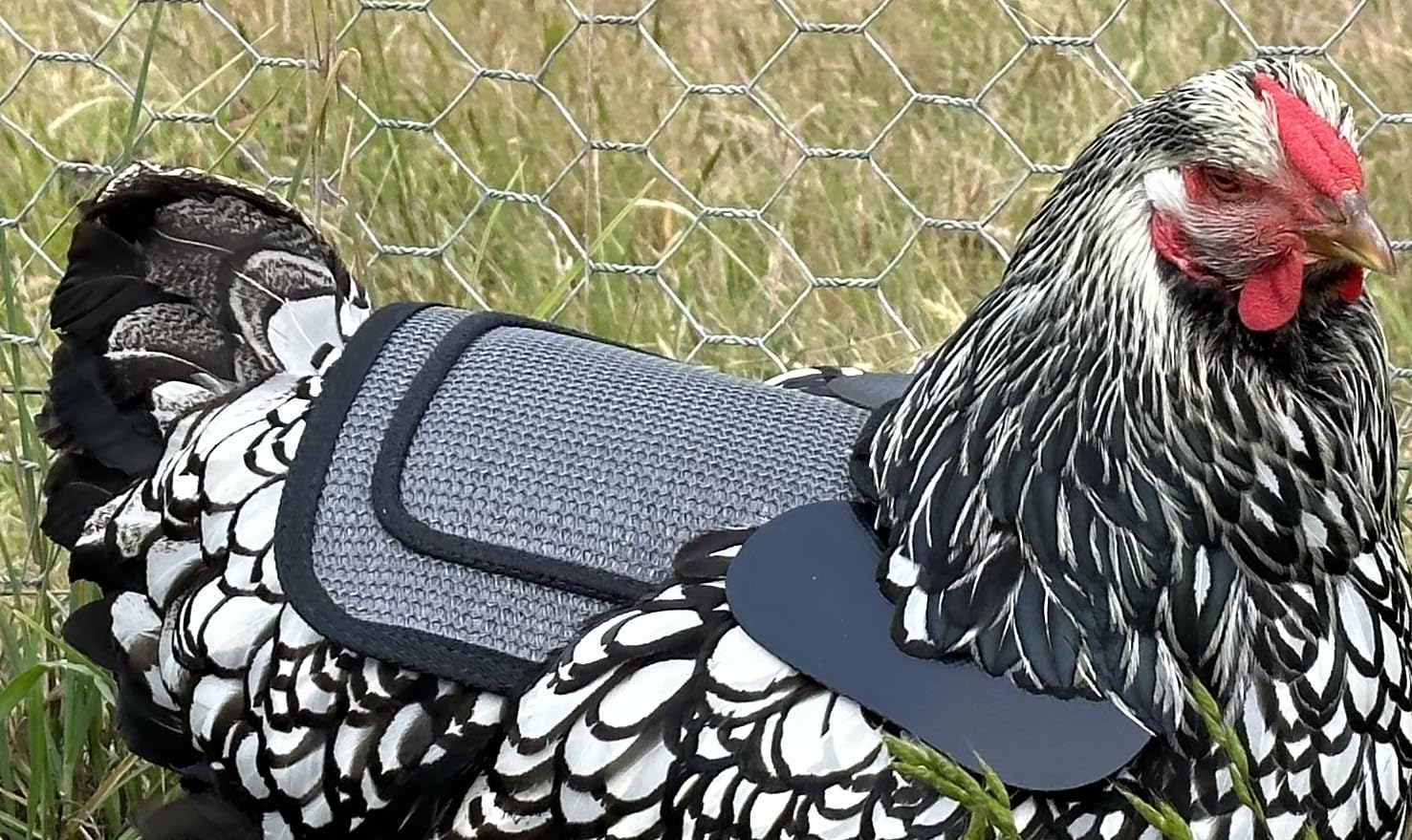 DOWN UNDER OUTDOORS chicken saddle side-view shows coverage on back and flank