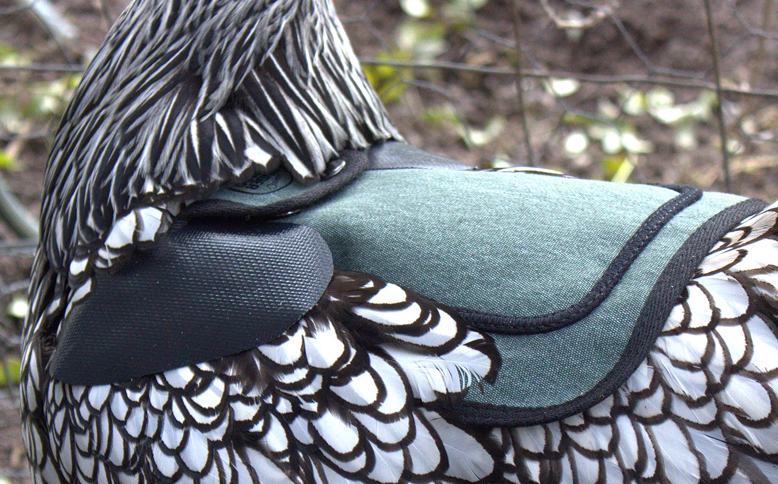 Down Under Outdoors feather-peck protection supports feather regrowth