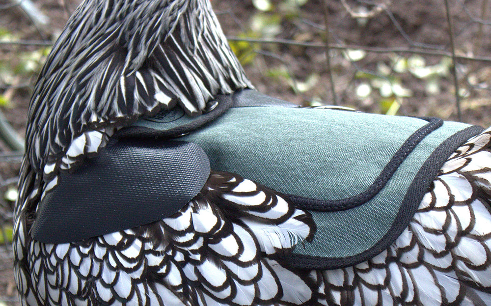Down Under Outdoors feather-peck protection supports feather regrowth