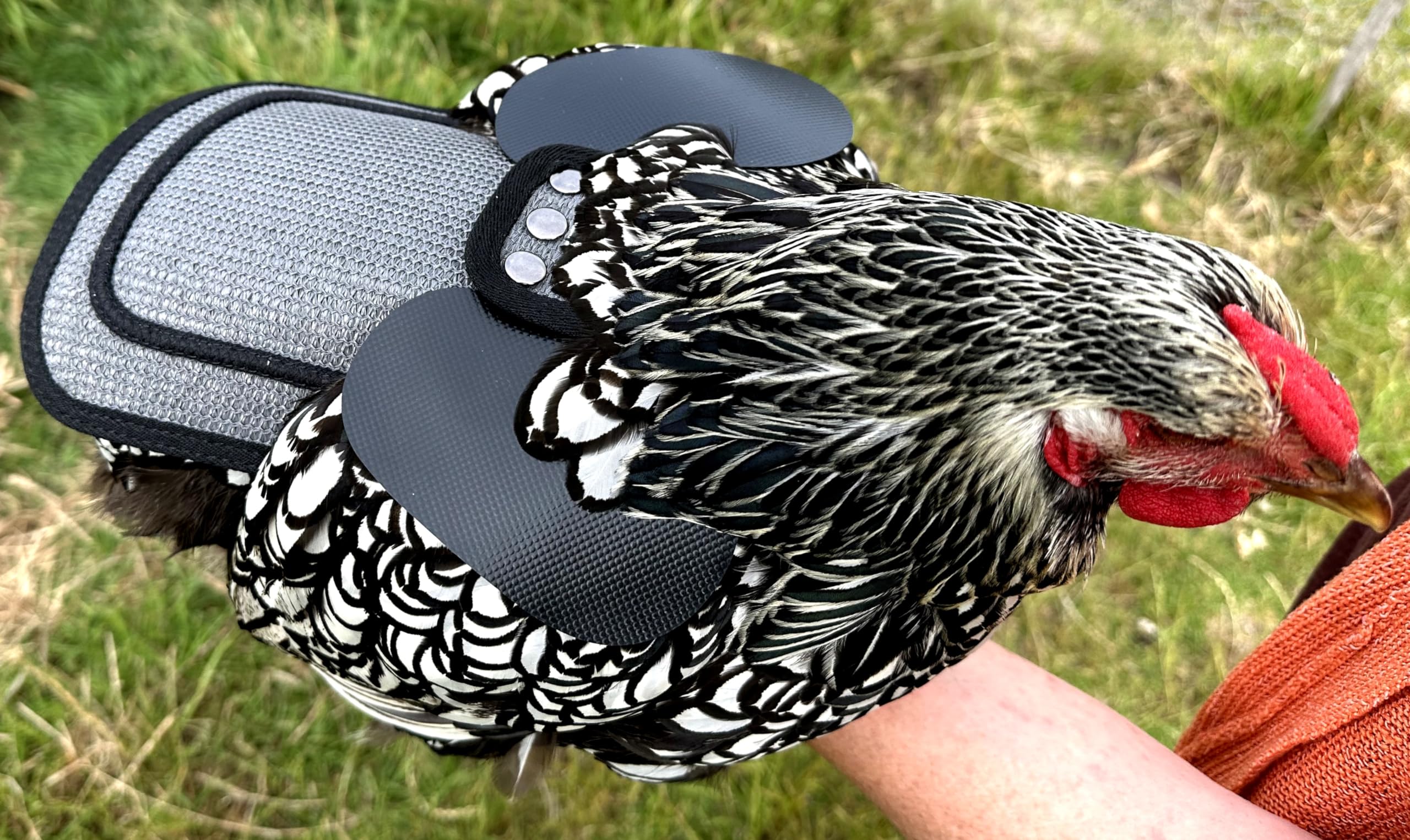 DOWN UNDER OUTDOORS poultry-saver grey-mesh breathable fabric for summer comfort