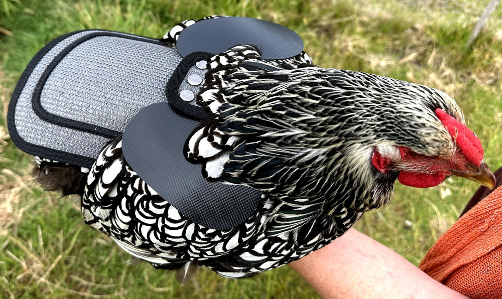DOWN UNDER OUTDOORS poultry-saver grey-mesh breathable fabric for summer comfort